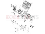 KTM 250 EXC (730320) [EU] 2002 CLUTCH