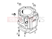 KTM 640 LC4-E SILBER (972618) [EU] 2001 CYLINDER