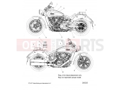 INDIAN 2019 SCOUT 1200 ALL OPTIONS (R02) - N19MSA00/MSB00 BODY » BODY, EMBLEMS/DECALS - ALL OPTIONS (200335)