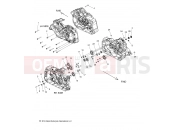INDIAN 2019 SCOUT 1200 ALL OPTIONS (R02) - N19MSA00/MSB00 ENGINE » ENGINE, CRANKCASE ASM. - ALL OPTIONS (49INDIANCRANKCASE15SCOUT)