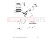 INDIAN SPRINGFIELD ALL OPTIONS (R04) (N18THAAA) ELECTRICAL » ELECTRICAL, WIRE HARNESS - ALL OPTIONS (200248)