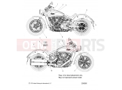 INDIAN SCOUT ALL OPTIONS (R06) - N16MSA00/MSB00 BODY | BODY, EMBLEMS/DECALS - N16MSA00/MSB00 ALL OPTIONS (200060)