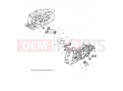 INDIAN CHIEFTAIN/ROADMASTER ALL OPTIONS - N15TCAAA/TRAAA ENGINE | ENGINE, CRANKCASE BEARINGS - N15TCAAA/TRAAA ALL OPTIONS (49INDIANCRANKCASEBRG14)