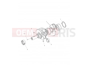 Polaris 2015 RANGER RANGER HST - R151DPD1AA/2D ENGINE » ENGINE, CRANKSHAFT - (49BRUTUSCRANKSHAFT15DSL)
