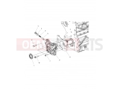 Polaris 2015 RANGER RANGER HST - R151DPD1AA/2D ENGINE » ENGINE, OIL PUMP - (49BRUTUSOILPUMP15DSL)