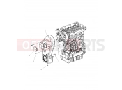 Polaris 2015 RANGER RANGER HST - R151DPD1AA/2D ENGINE » ENGINE, TIMING SYSTEM GUARD - (49BRUTUSTIMINGGUARD15DSL)