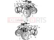 POLARIS PREDATOR 50 - A07KA05CA/CB/CD DECALS