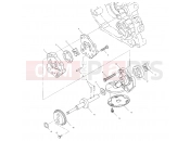 POLARIS DIESEL (A10CH46CA) OIL PUMP