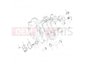 POLARIS DIESEL (A10CH46CA) WATER PUMP