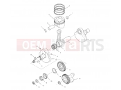 POLARIS DIESEL (A00CH46CA) CRANKSHAFT and PISTON