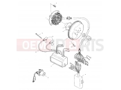POLARIS SLH (W004673D) MAGNETO