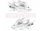 POLARIS GENESIS (W005099D) DECALS