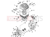 POLARIS TRAIL BOSS (A99AA25CA) CRANKCASE and CYLINDER