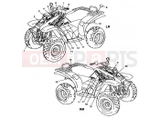 POLARIS TRAIL BOSS (A99AA25CA) DECALS