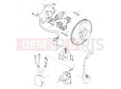 POLARIS SCRAMBLER 400 (A99BG38CB) MAGNETO