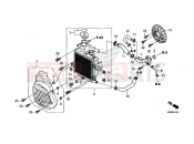 HONDA ANC125H 2017 RADIATOR