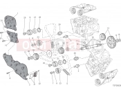 DUCATI Hypermotard SP DISTRIBUZIONE [MOD:HYM-SP;XST:AUS,EUR,FRA,JAP]