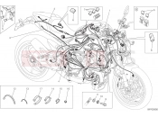DUCATI Monster 1200 S Stripe WIRING HARNESS [MOD:M1200STR]