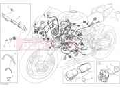 DUCATI Superbike 899 Panigale WIRING HARNESS [MOD:899 ABS,899 AWS]
