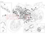 DUCATI 2015 Superbike 1299 Panigale	 WIRING HARNESS [MOD:1299;XST:AUS,EUR,FRA,JAP,TWN]