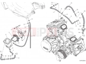 DUCATI 2015 Superbike 1299 Panigale	 CANISTER FILTER [MOD:1299;XST:TWN]