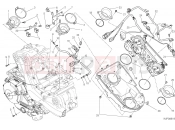DUCATI Monster 821 Stripe THROTTLE BODY [MOD:M821 STR;XST:AUS,EUR,FRA,JAP]