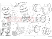 DUCATI Superbike 1299 Panigale S CYLINDERS - PISTONS [MOD:1299S;XST:AUS,EUR,FRA,JAP,TWN]