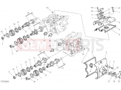 DUCATI Monster 821 CYLINDER HEAD : TIMING SYSTEM [MOD:M 821]
