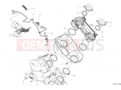 DUCATI 2019 Hypermotard 950 SP THROTTLE BODY [MOD:HYM950SP]