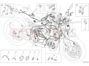 DUCATI 2019 Monster 1200 S WIRING HARNESS [MOD:M 1200S]