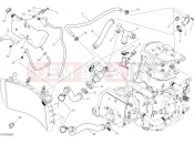 DUCATI 2019 Monster 1200 S COOLING SYSTEM [MOD:M 1200S]