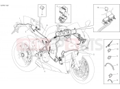 DUCATI 2019 Superbike Panigale V4 VEHICLE ELECTRIC SYSTEM [MOD:PANV4]