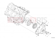 DUCATI 2019 Superbike Panigale V4 S Course  GENERATOR COVER [MOD:PANV4SGP]