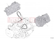 DUCATI 2019 Superbike Panigale V4 S Course  ASSIEMI TESTE [MOD:PANV4SGP]