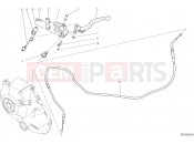 DUCATI 2020 Monster 797 CLUTCH CONTROL [MOD:M 797]