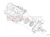 DUCATI Superbike Panigale V4 25° Anniversario 916  GENERATOR COVER [MOD:PANV4916]