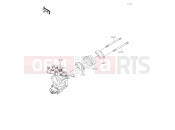 KAWASAKI 2020 Throttle