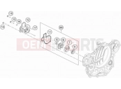 HUSQVARNA 2021 Offroad FE 501 (F2403U4) [EU] WATER PUMP|Engine|35