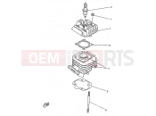 YAMAHA CW50RSP (5CC3) 1998 CYLINDER