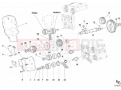 DUCATI Superbike 749 Dark TIMING BELT » UNCLASSIFIED