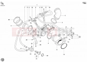 DUCATI Monster 800 THROTTLE BODY » INTAKE, CARBURETTOR