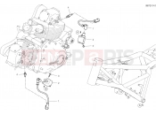 DUCATI Scrambler Desert Sled Fasthouse WIRING HARNESS (COIL) [MOD:SCR800FH]