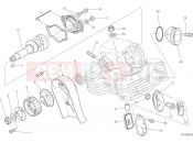 DUCATI 2021 Scrambler Icon Dark VERTICAL CYLINDER HEAD - TIMING [MOD:SCR800DK]