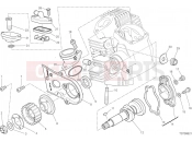 DUCATI Scrambler 1100 Special HORIZONTAL HEAD – TIMING SYSTEM [MOD:SCR11SPE]