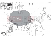 DUCATI Supersport 950 S FUEL TANK [MOD:SS 950 S]