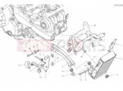 DUCATI Supersport 950 OIL COOLER [MOD:SS 950]