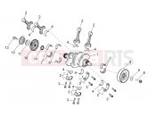 APRILIA Tuono V4 1100 RR Drive shaft