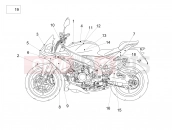 APRILIA Tuono V4 1100 RR Plate set and decal