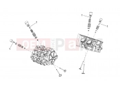 APRILIA Tuono V4 1100 RR Valves pads