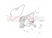 APRILIA Tuono 660 (USA) Flywheel cover